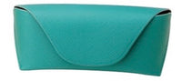 Coastal Case