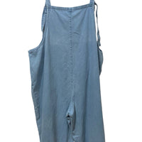 Lucy & Yak Light Wash Size 2X Almost New