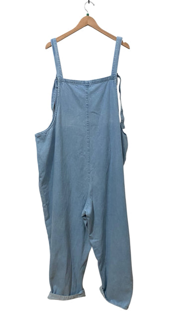 Lucy & Yak Light Wash Size 2X Almost New